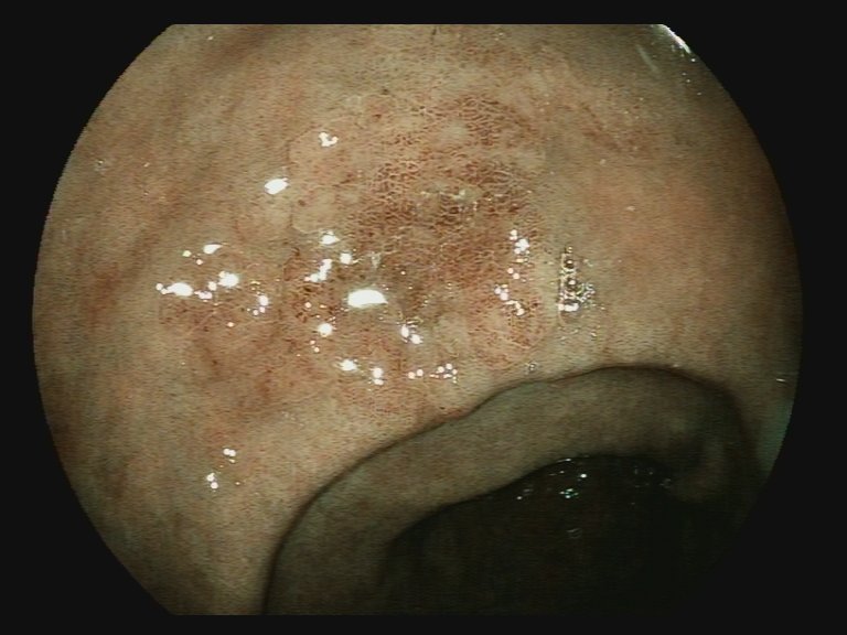 Aleksandar Gavric tweet media