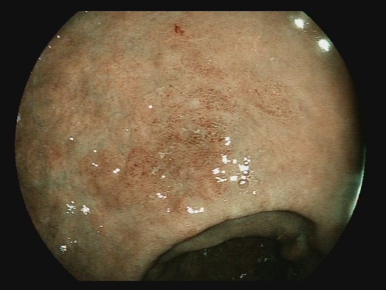 Aleksandar Gavric tweet media