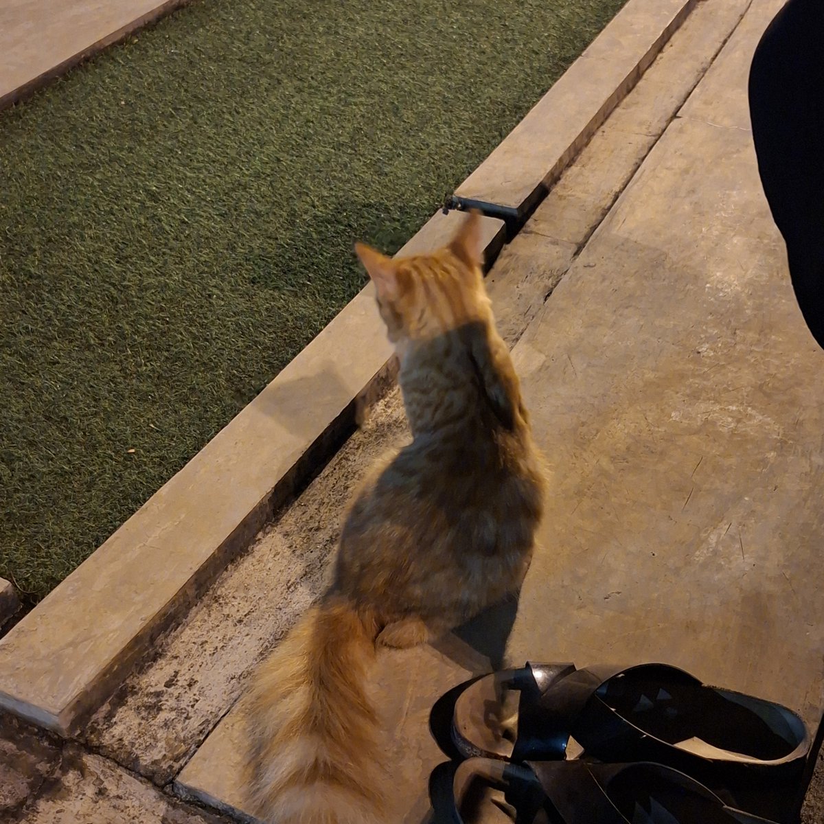 ⨾༊󠀺 tweet media