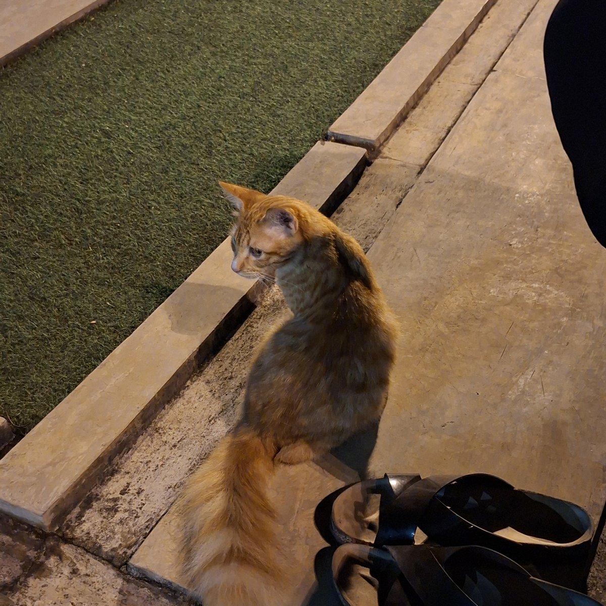 ⨾༊󠀺 tweet media