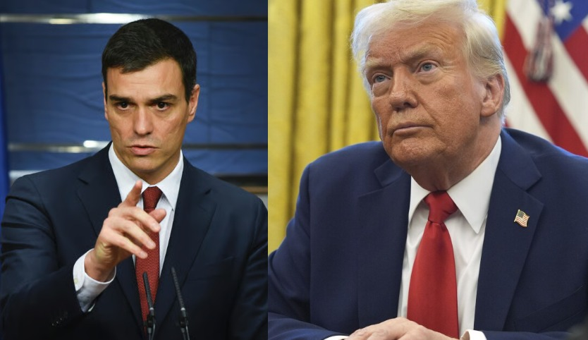 Occupy Democrats tweet media