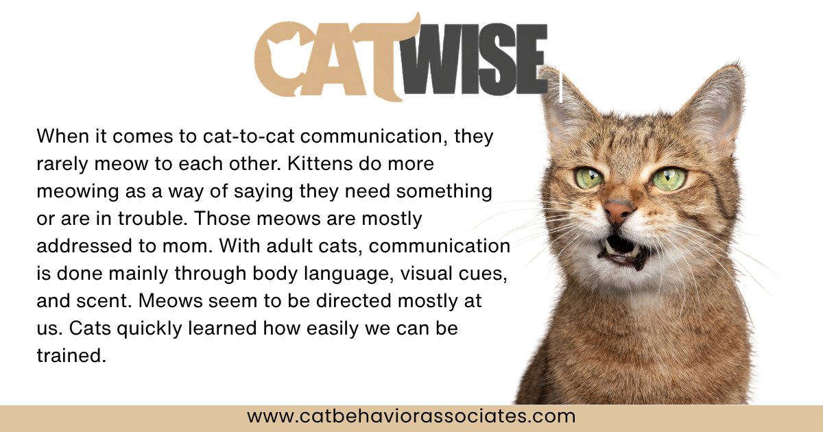 Pam Johnson-Bennett tweet media