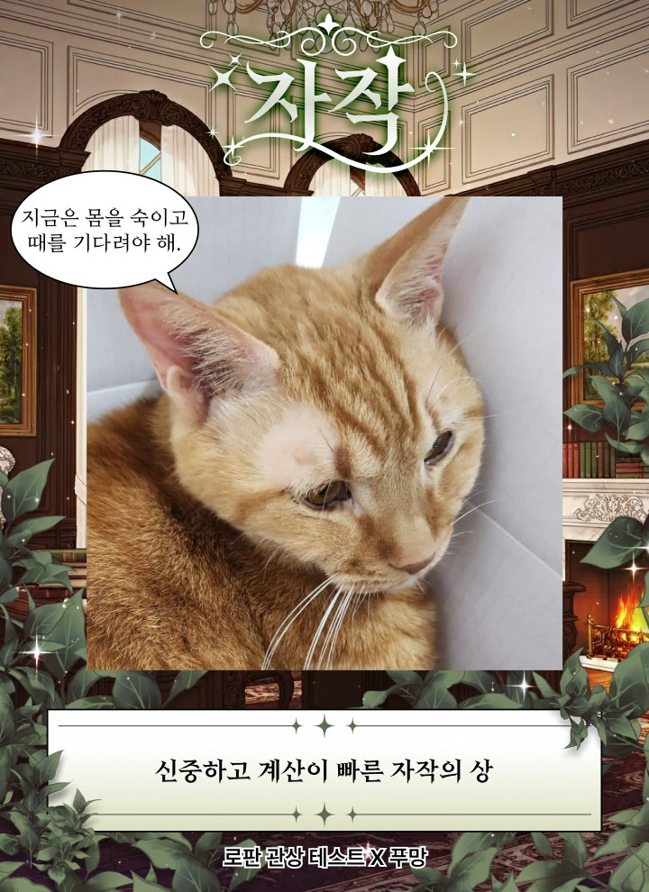 sunsal_rooyo's tweet photo. 자세에 따라 다른 얘기 나오는 거 웃기당 그리고 잘 맞아ㅋㅋㅋㅋㅋㅋ https://t.co/2OUX86GOSO