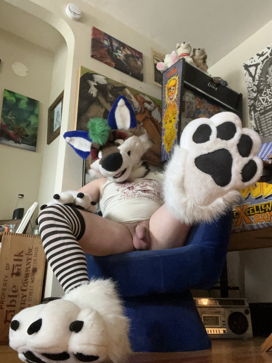 sex punk @ ANE tweet media