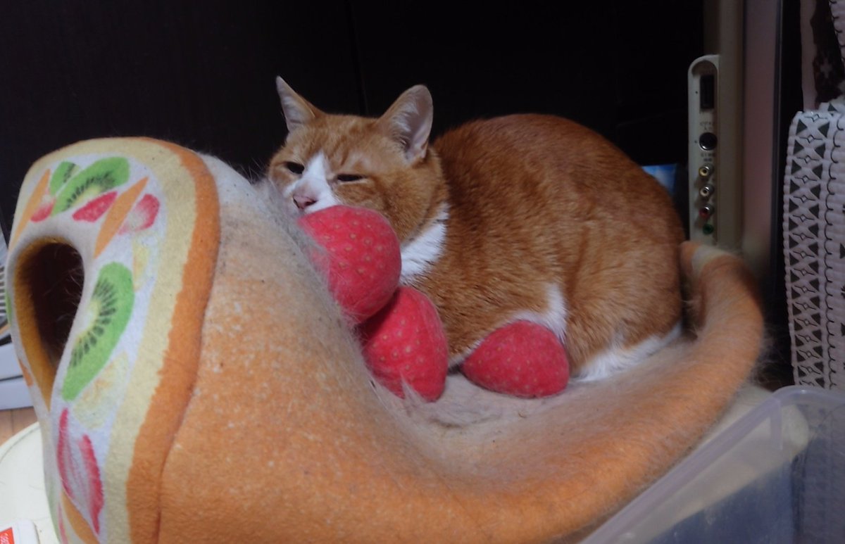 一@HEXVOID tweet media