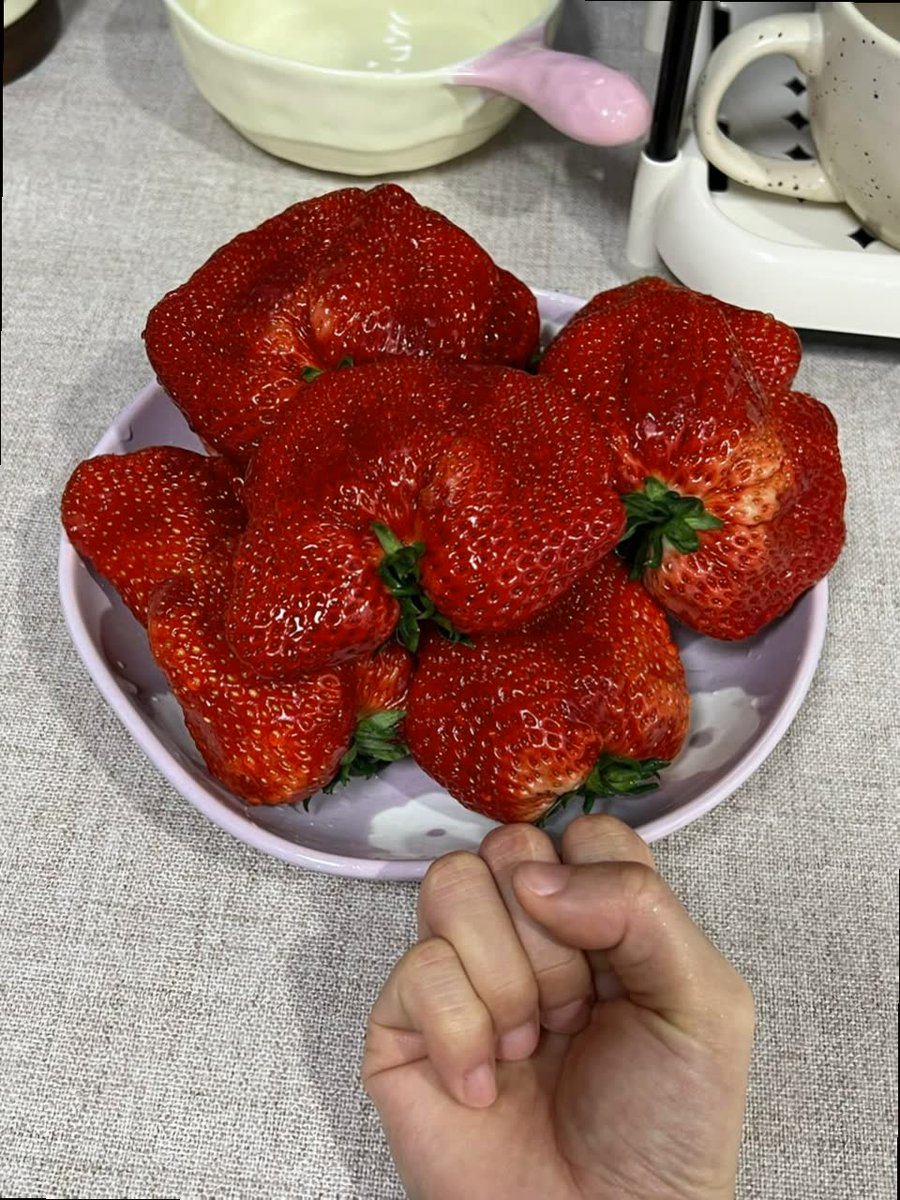 MinorMered52330's tweet photo. You’re only one decision away from a completely different life.🕎😐254
深圳🛂天津🥡
重庆👬济南🍻渐渐远去的是门上岁月，慢慢走近的是美好树叶记忆。 初冬，胶东的外围还未落尽，小雪已悄悄地飘满了枝头选妃👉@BaduaGarrett
杭州🌮三亚🤍东莞 https://t.co/C4p7OFNC1H
