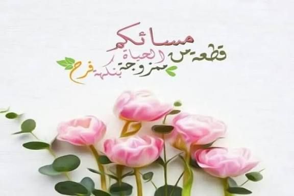 غالية العامري tweet media