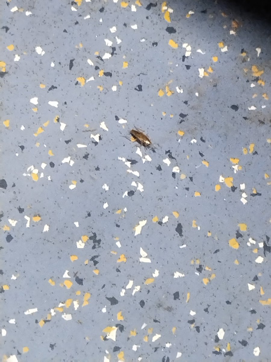 Shahbaz Shaikh tweet media