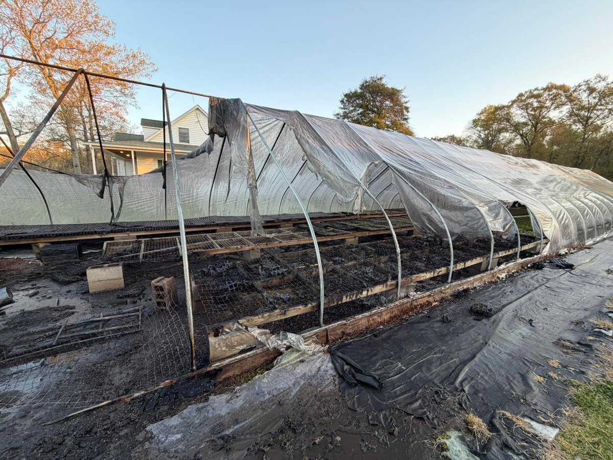 Karl Shlagel tweet media