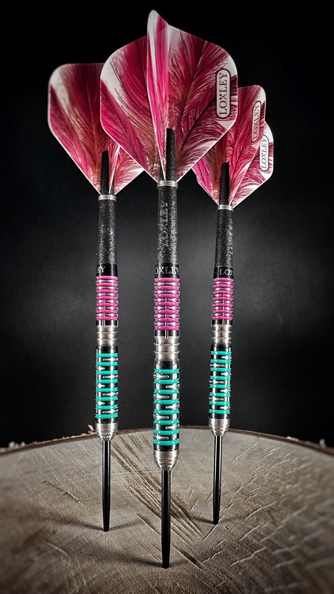 Loxley Darts tweet media