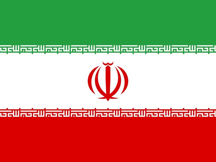 Bull Theory tweet media