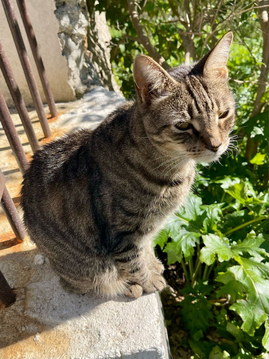 TheoandOscarHQ tweet media