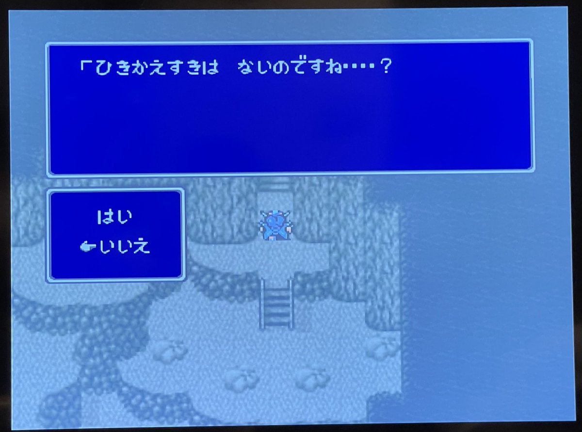 データムゴリスター tweet media