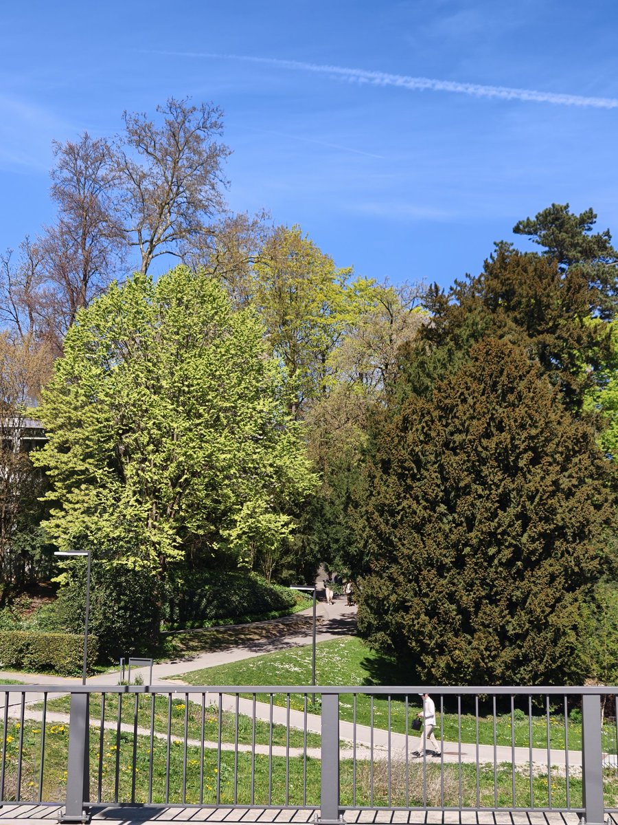 Good Guy 🇵🇰 tweet media