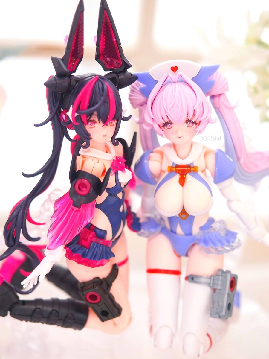 chatora🐾 tweet media