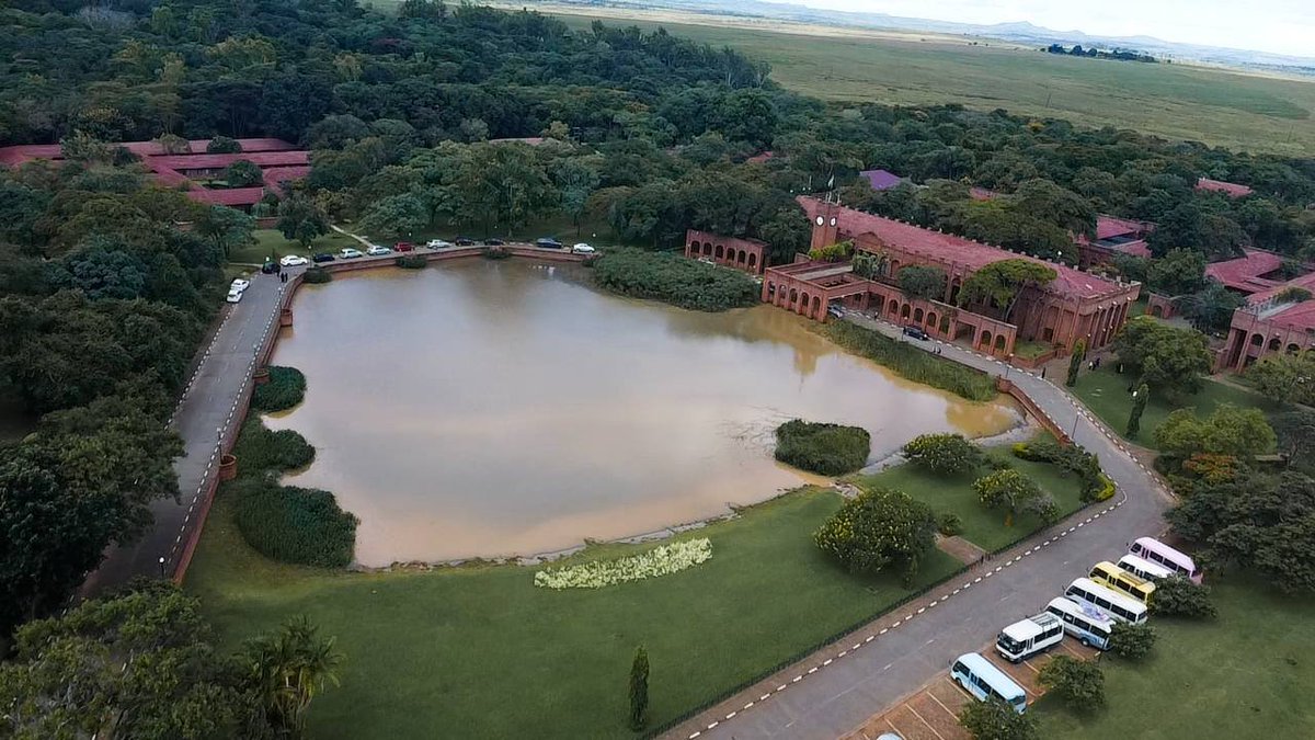 TheProtégéTZ tweet media