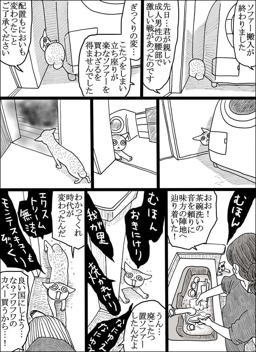 セントラルド熊 tweet media