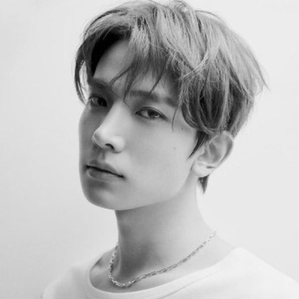 : carmen : 🔪 ENHYPEN IS 7 tweet media