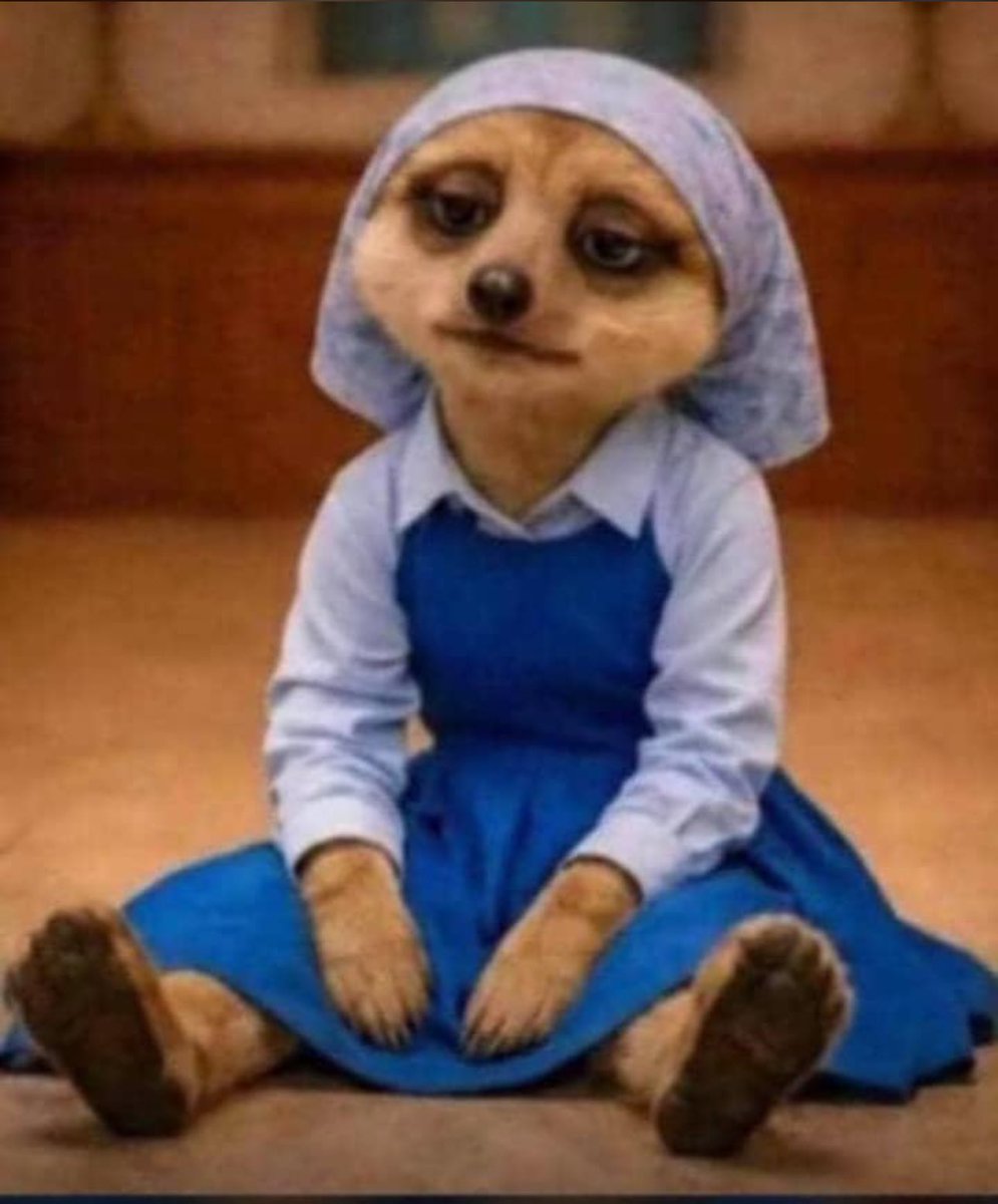 WICKED PRESH😎 tweet media