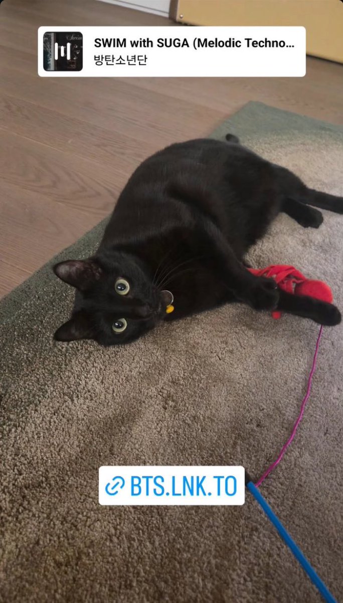 aisha⁷🔻 tweet media