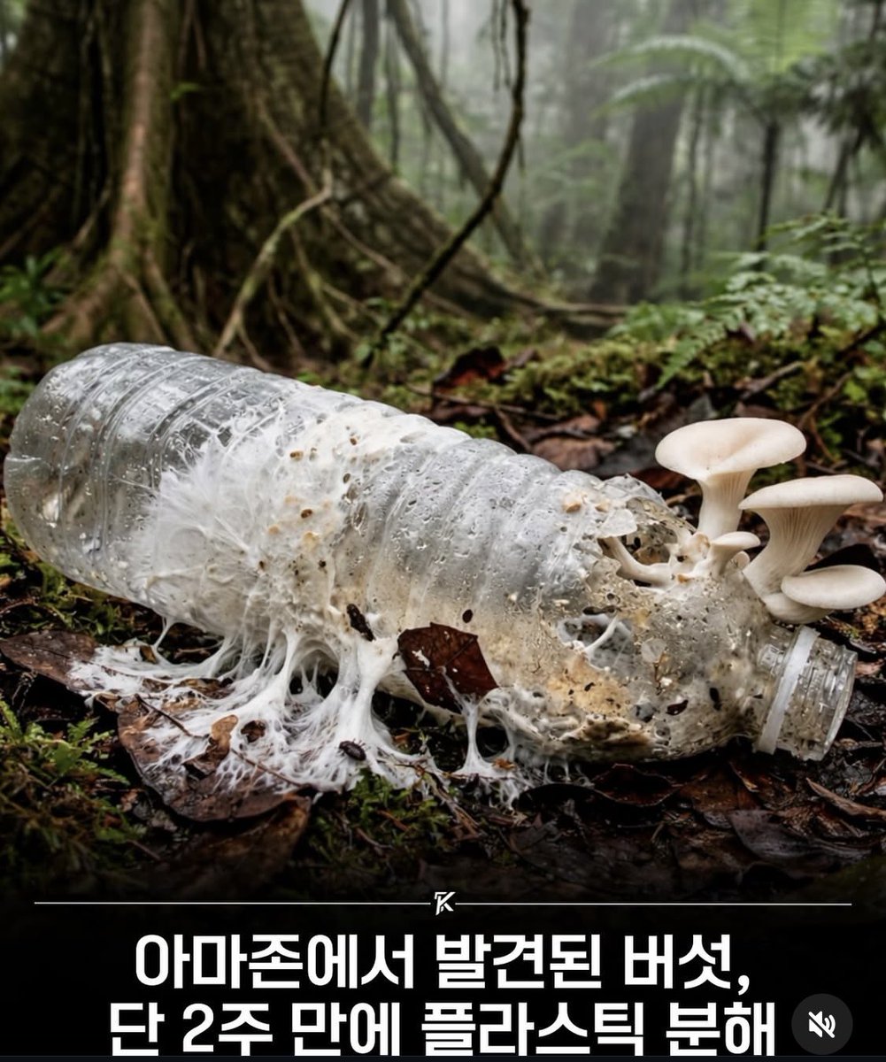 Eunchรฉ tweet media