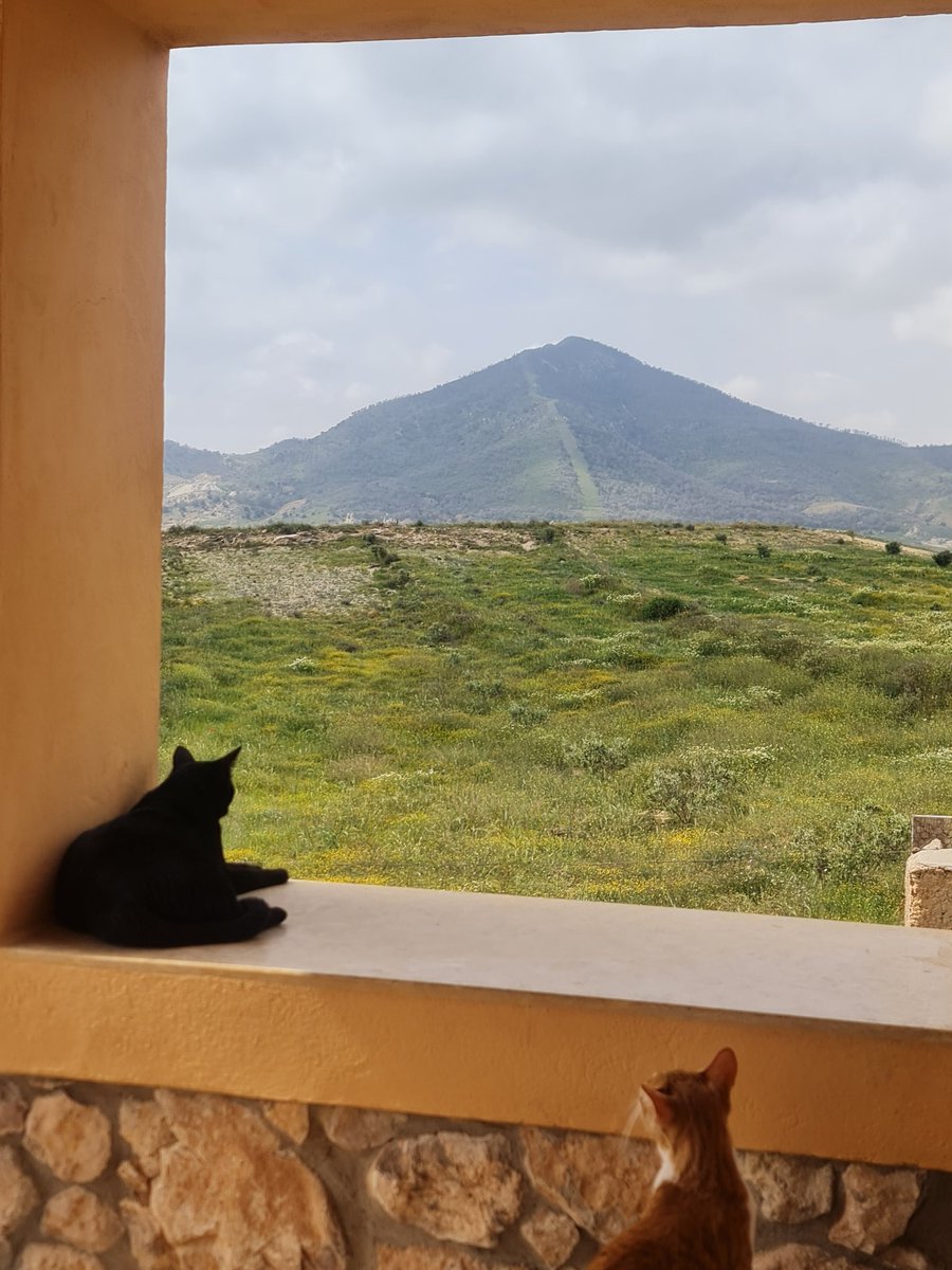 Liza Chami tweet media