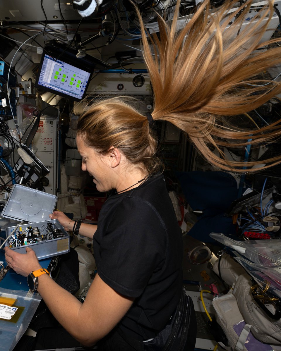 Adenot Sophie tweet media