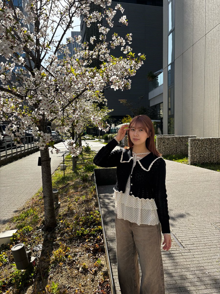 crynoto's tweet photo. 髪ぴんくにした〜🌸🎀🌷💗 https://t.co/GvOX5HNFLZ