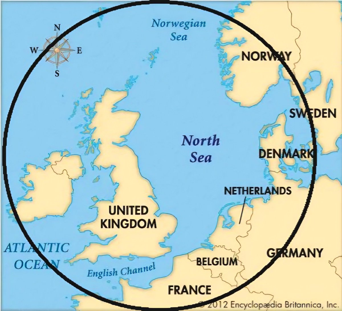 Dam Noir tweet media