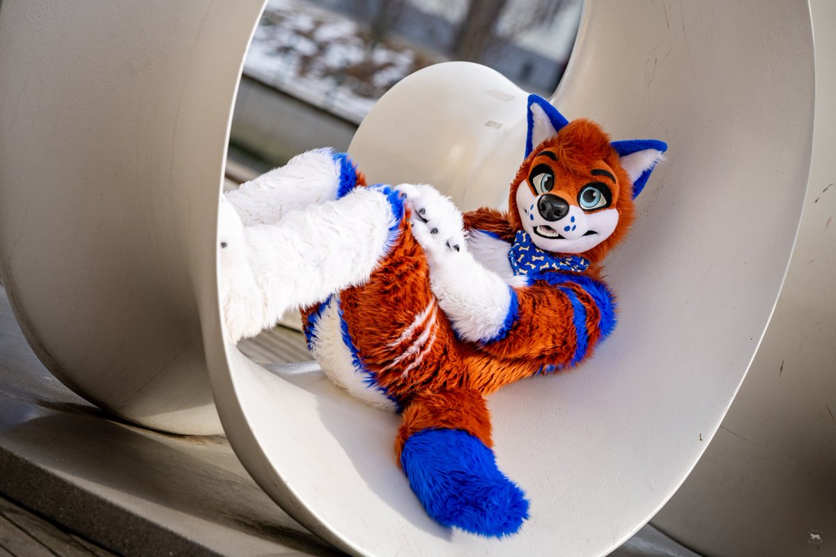 Pinsel, The 📸 Lynx tweet media