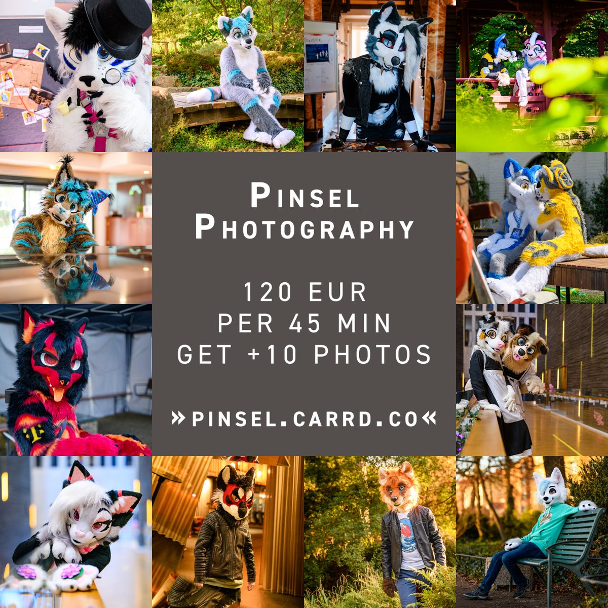 Pinsel, The 📸 Lynx tweet media