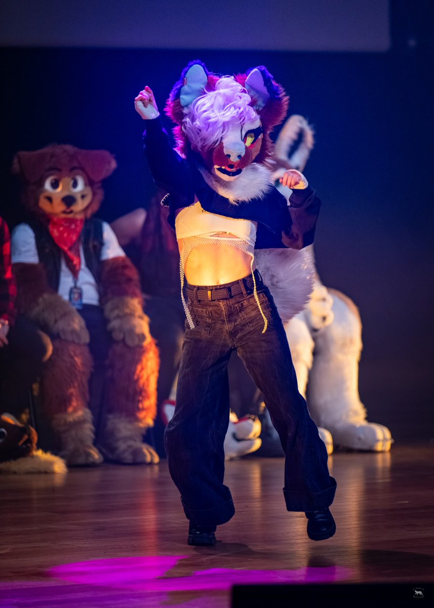 Pinsel, The 📸 Lynx tweet media