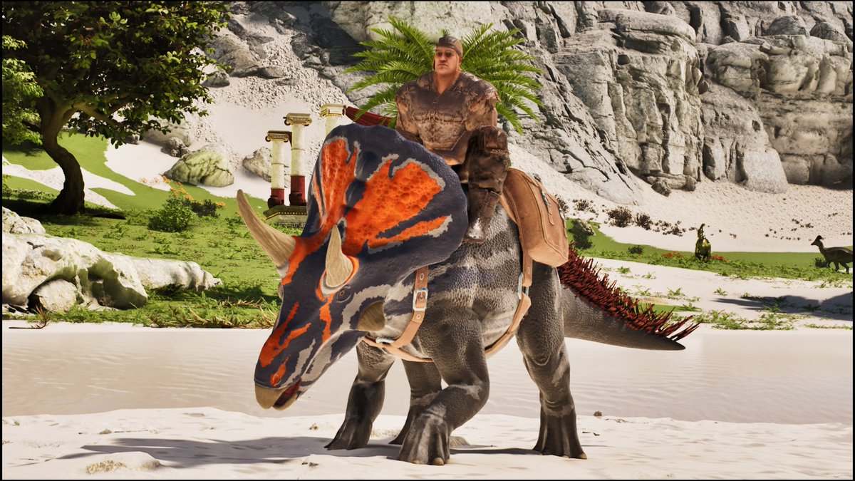 おかか tweet media