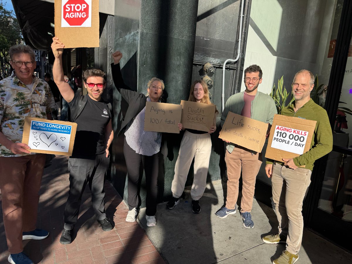 Linus Petersson tweet media