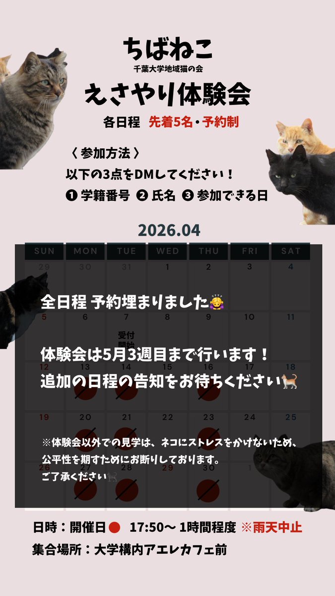 えさやり体験会、4月分の予約受付は終了しました🐈‍⬛
5月分のスケジュールの公開をお待ちください！