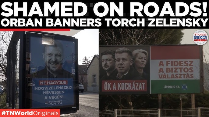 Діана🇺🇦 tweet media