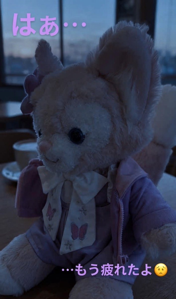 もも千代 tweet media