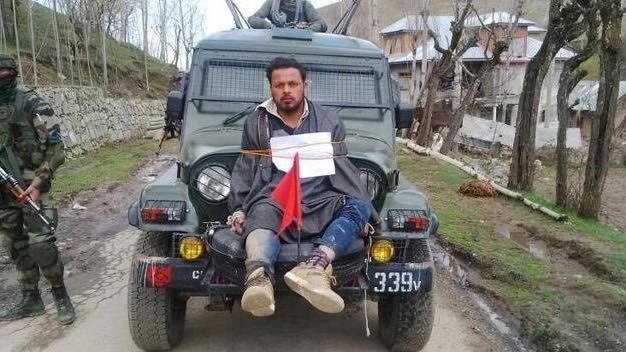 Black Bird tweet media