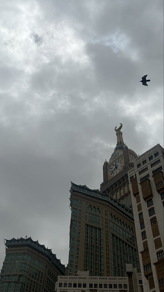 رَوان tweet media