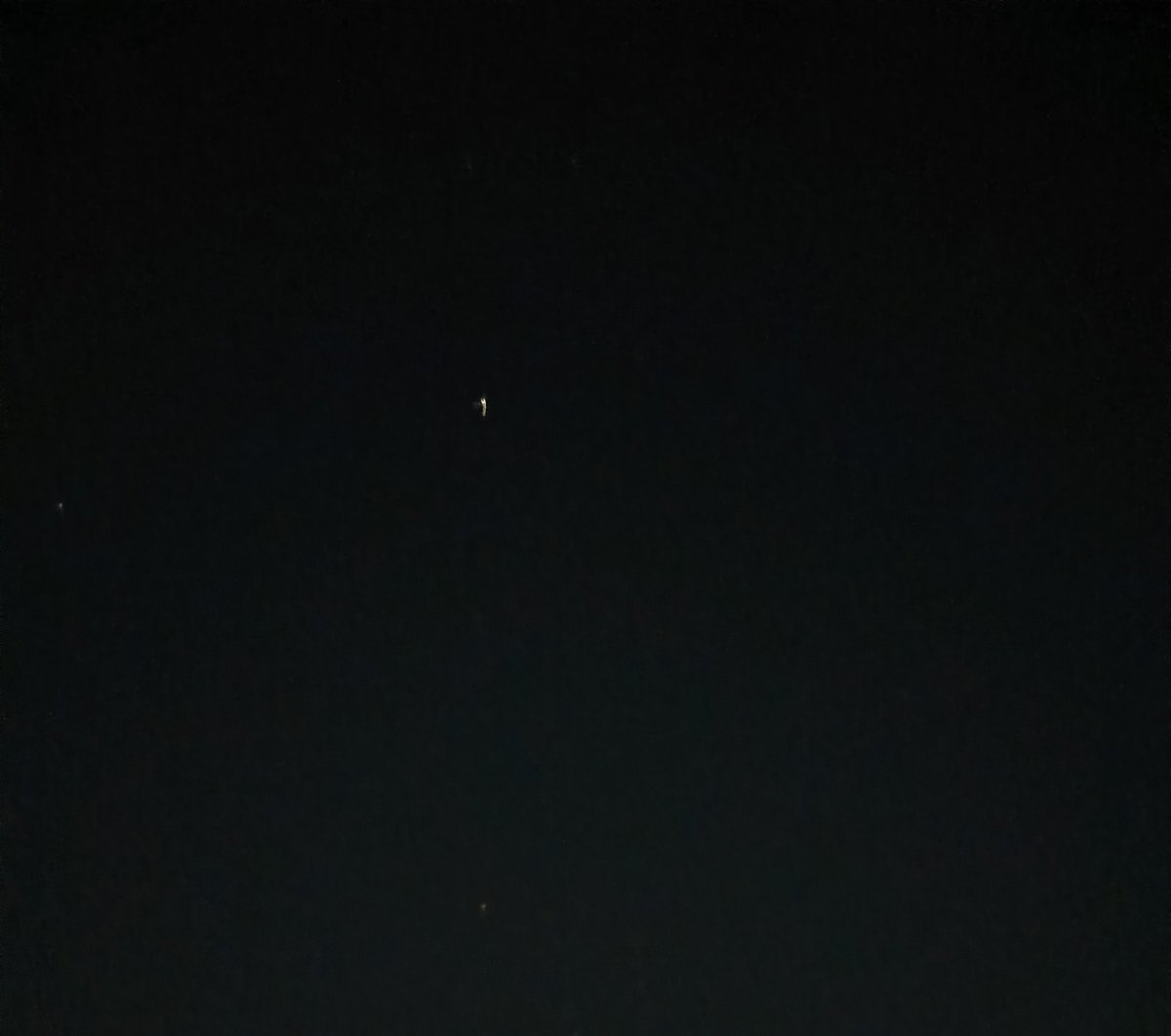 🍋さりレモン🇯🇵 tweet media