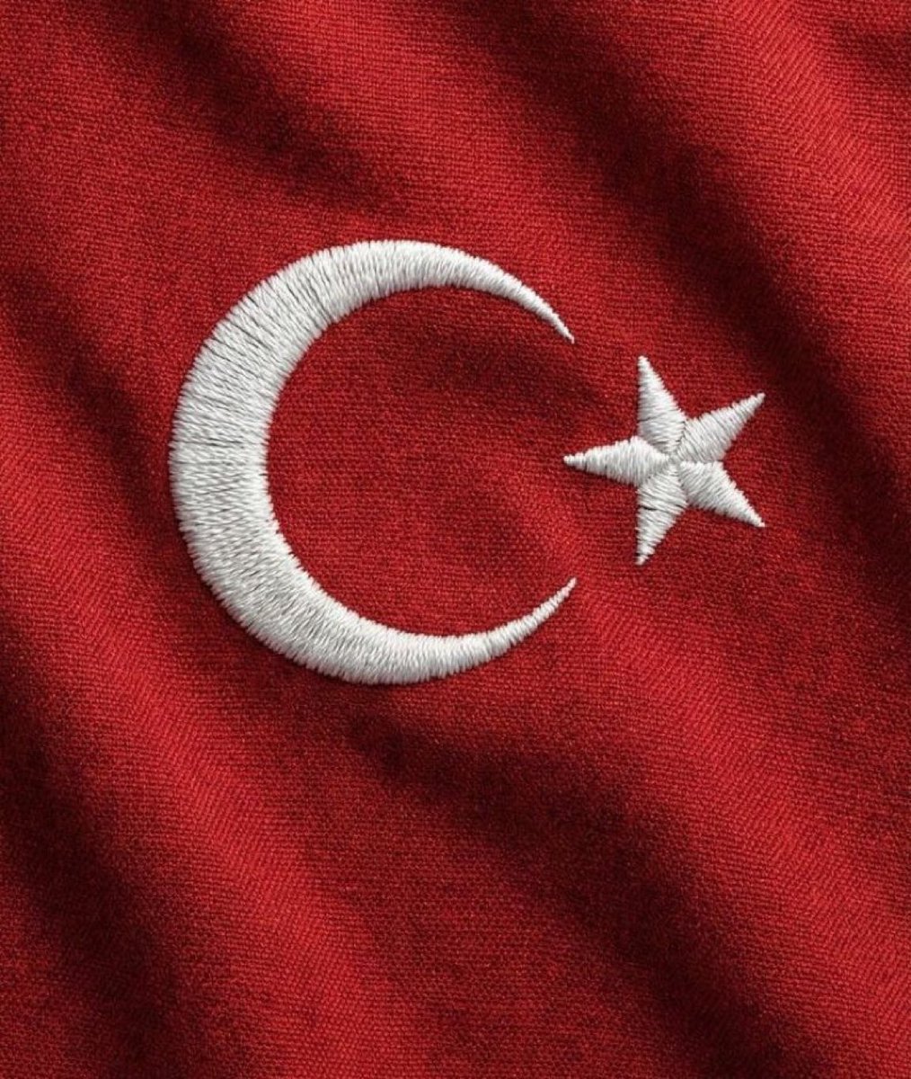 Gökçe Katun tweet media