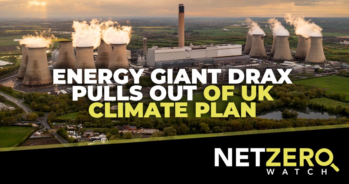 Net Zero Watch tweet media