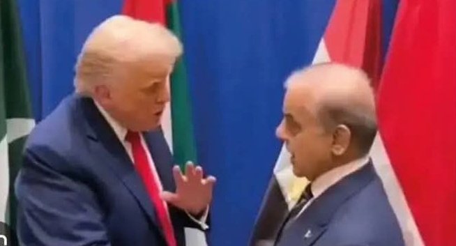 Tum kehna 2 weeks day do.
Mai kahun ga "Ok theek hai"