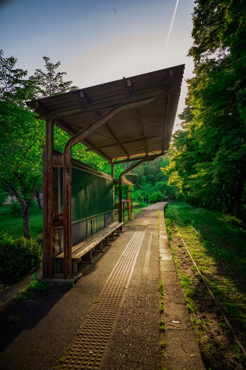 一人旅研究会 tweet media