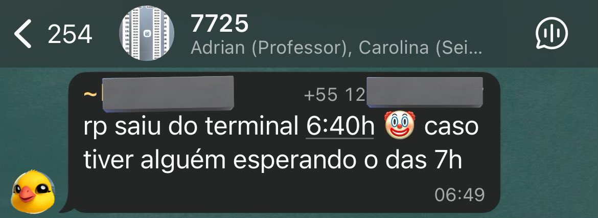 pingu 🐧 tweet media