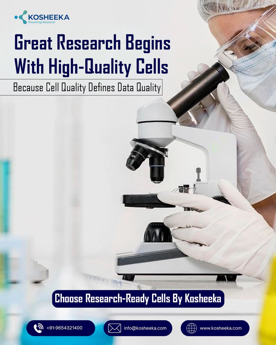 kosheeka tweet media