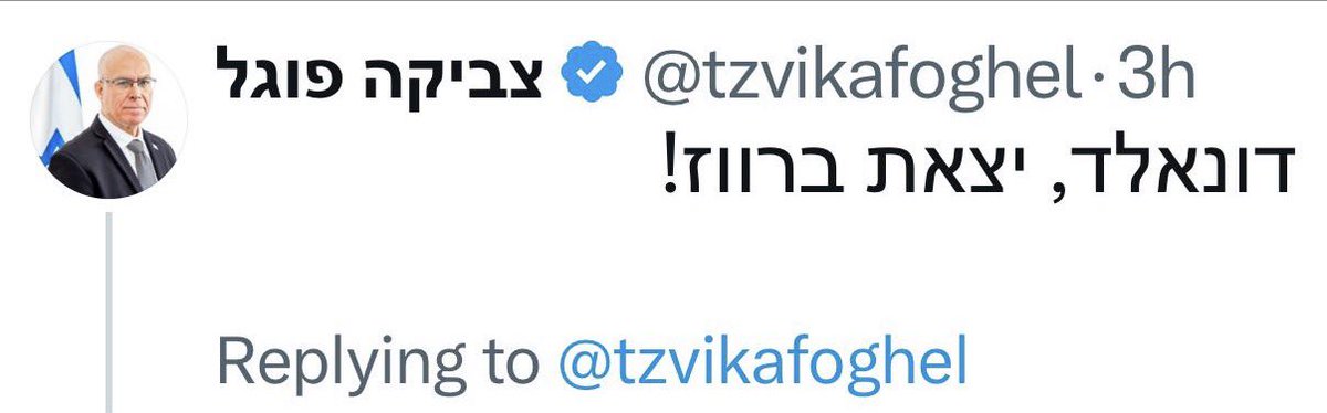 Hadas Klein tweet media