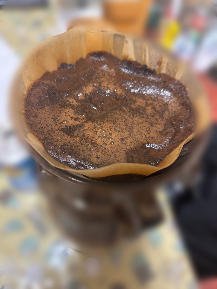 夜月 麗華 tweet media