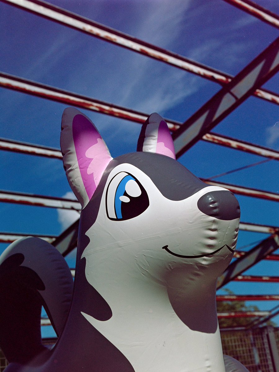 Lisichka tweet media