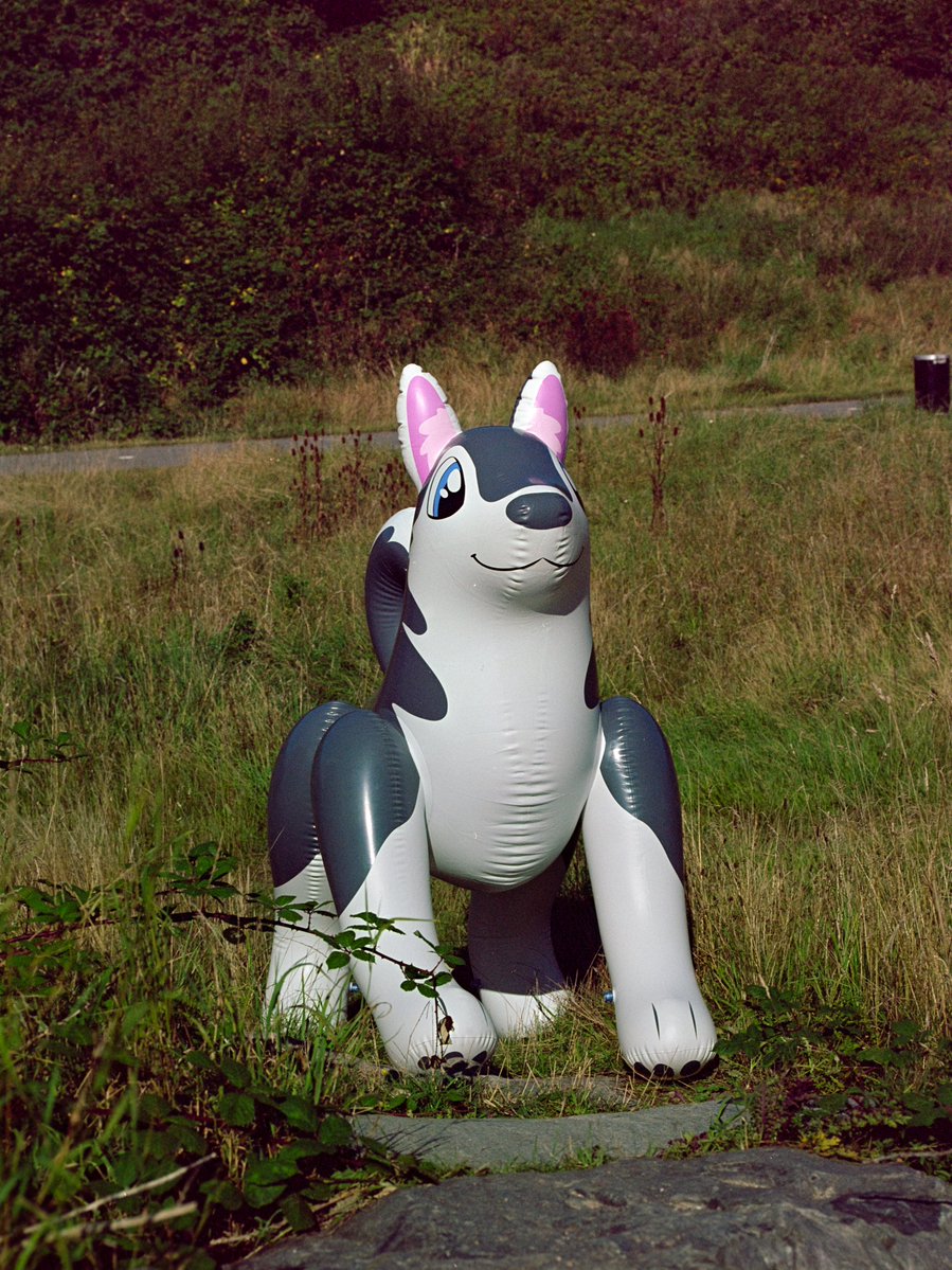 Lisichka tweet media